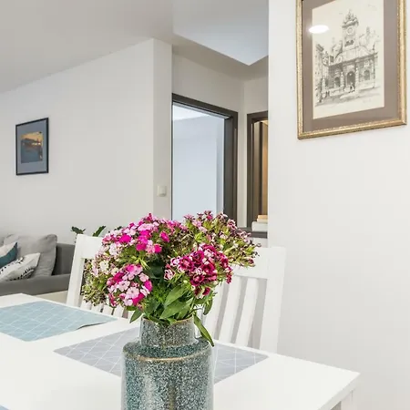 Stylish In The Center Of ザダル