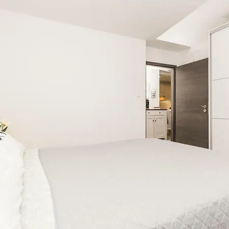 Stylish In The Center Of زادار