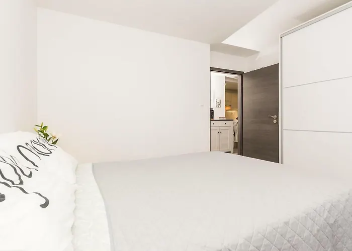 Stylish In The Center Of زادار